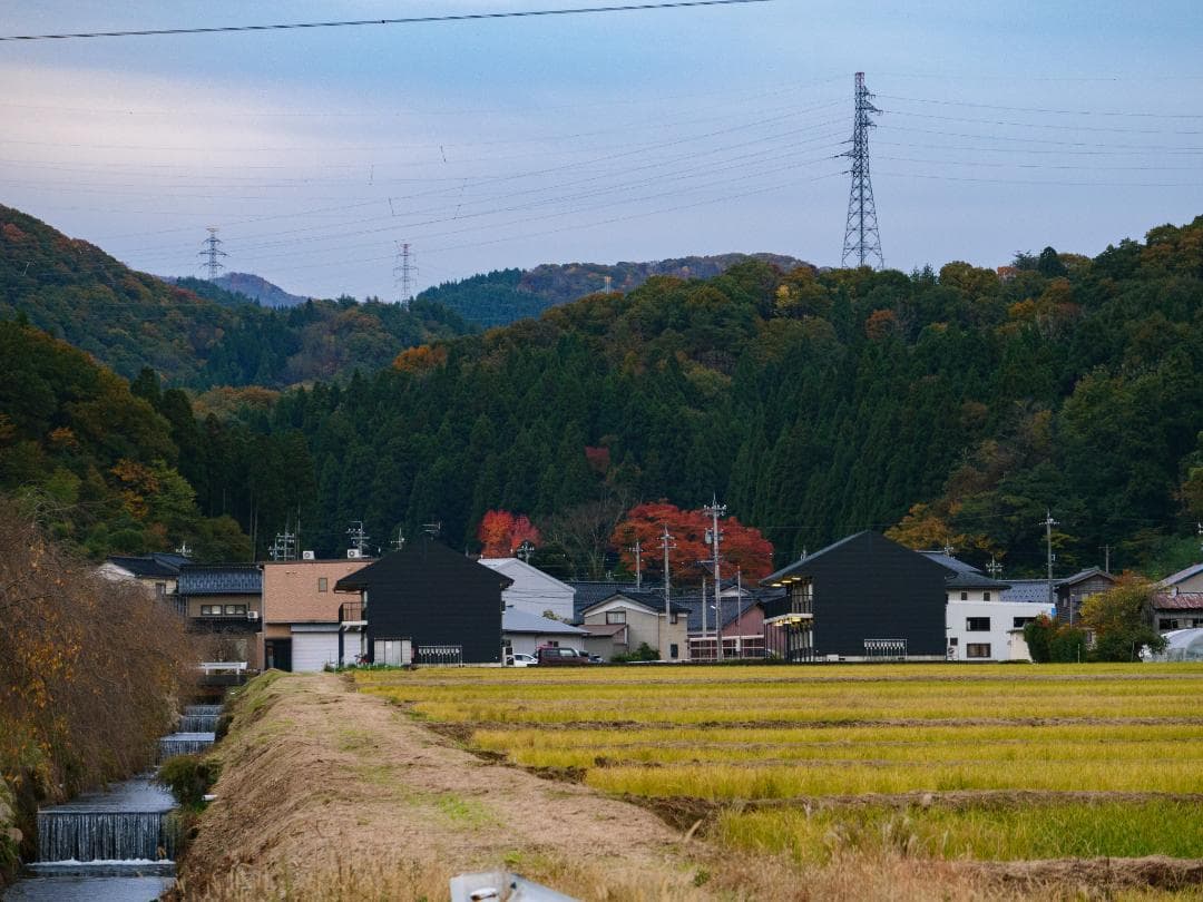 【RITAO CHAN】LUMIX G VARIO 35-100mm