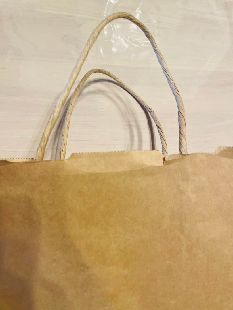 champion チャンピオン ショップ袋 ショッパー 紙袋 手提げ 特大