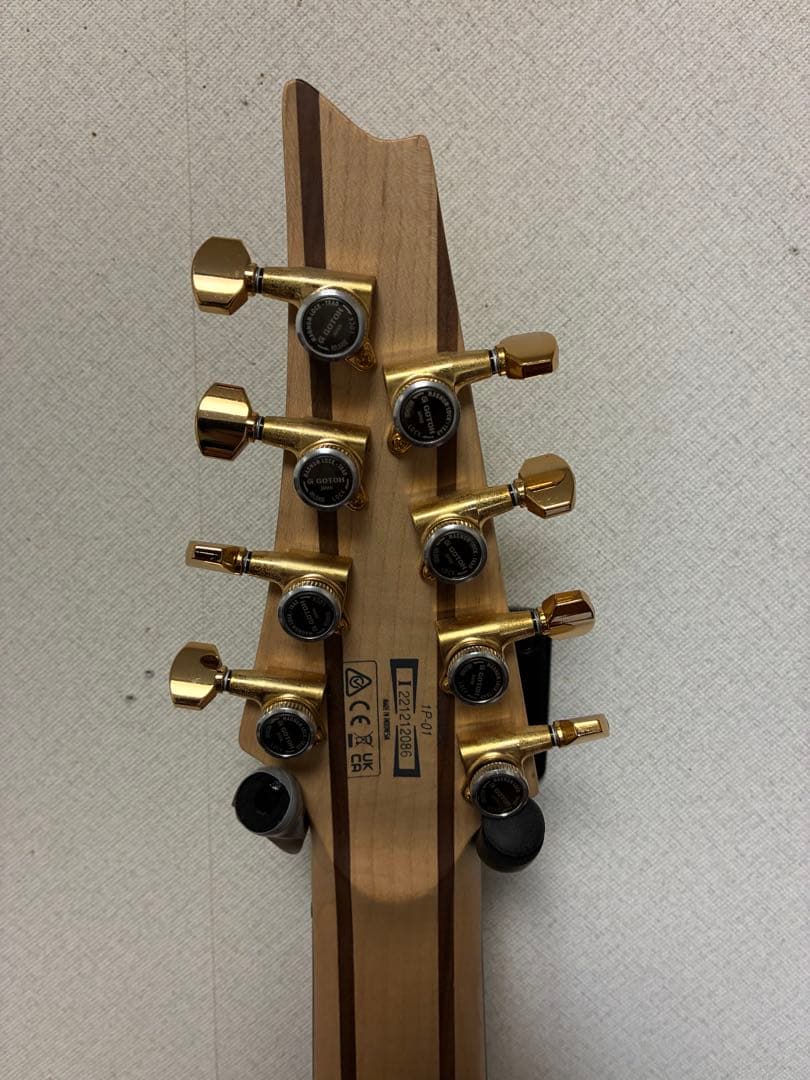 Ibanez RGDMS8 8弦ギター