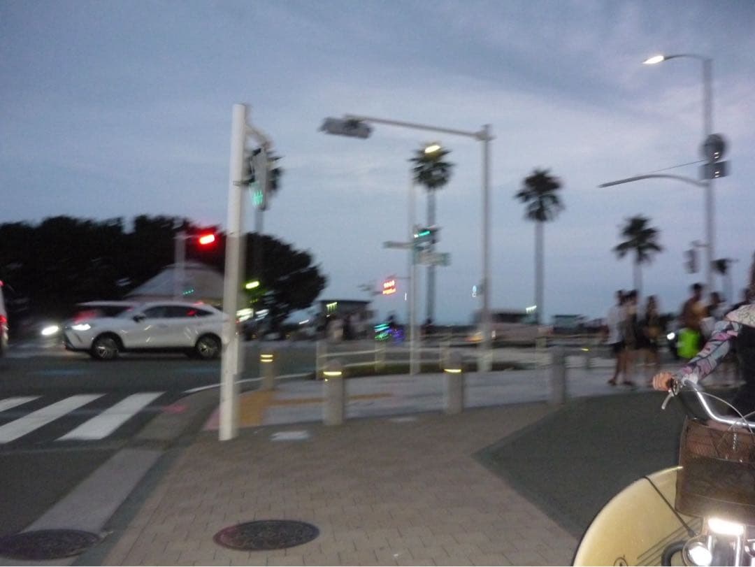 Panasonic LUMIX シルバー デジタルカメラ