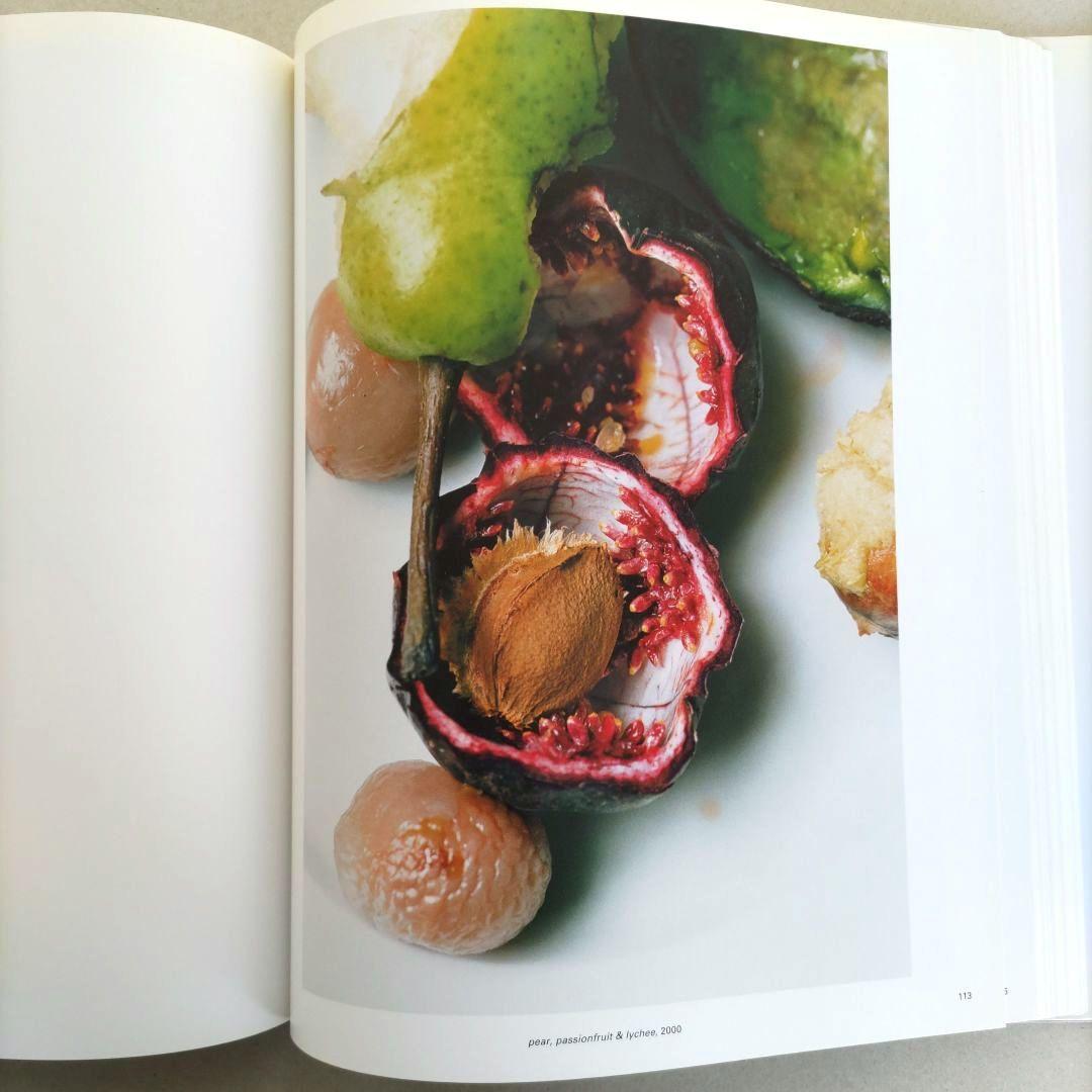 View from above:Wolfgang Tillmans/写真集 洋書