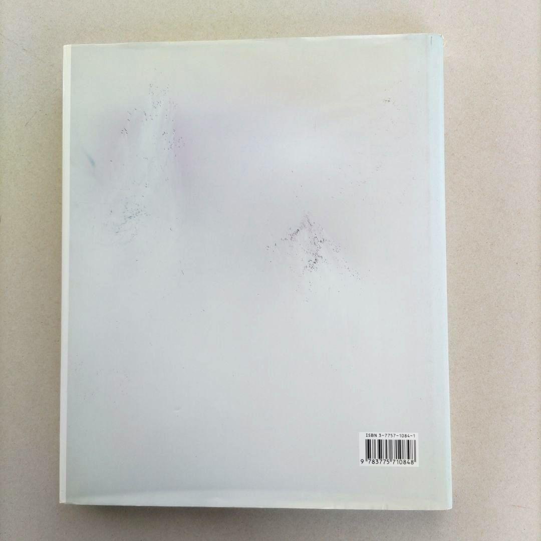 View from above:Wolfgang Tillmans/写真集 洋書