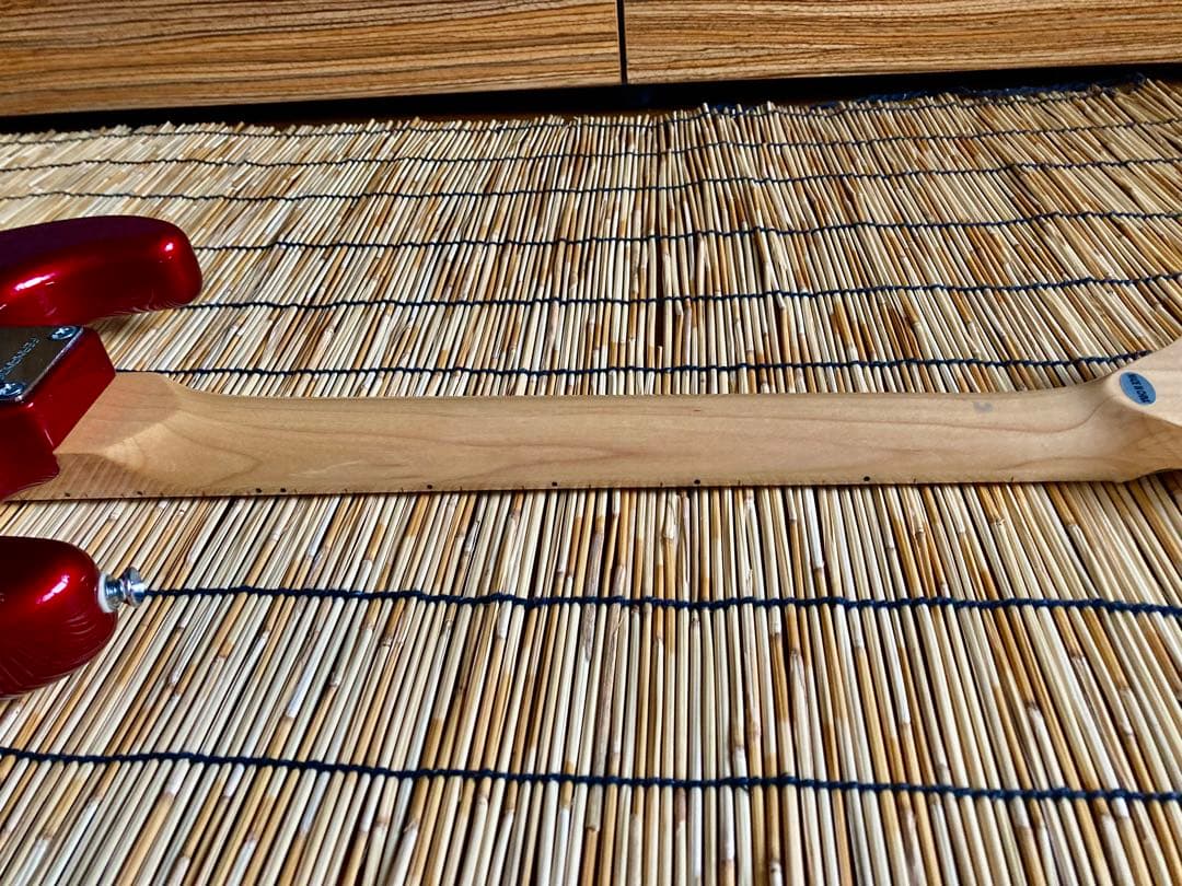 ☆珍品　改造を駆使したFERNANDES ST