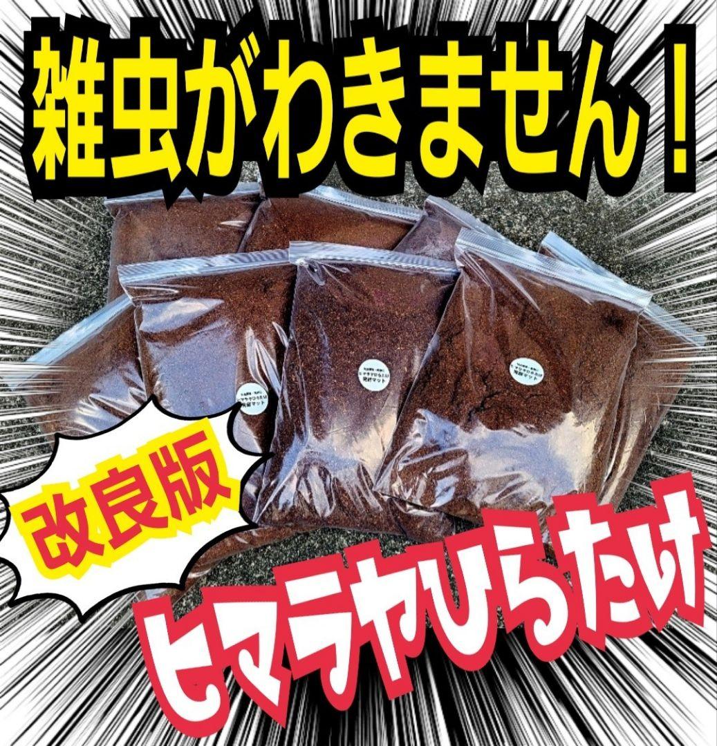 カブトムシ幼虫が大きくなる！発酵マット【たっぷり6袋】雑虫、コバエが湧かない！