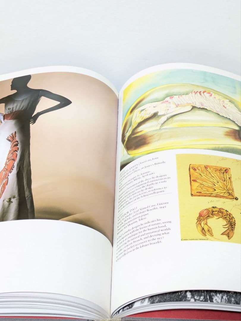 ファッションとシュルレアリスムリチャード・マーティン 著　洋書　ハードカバー