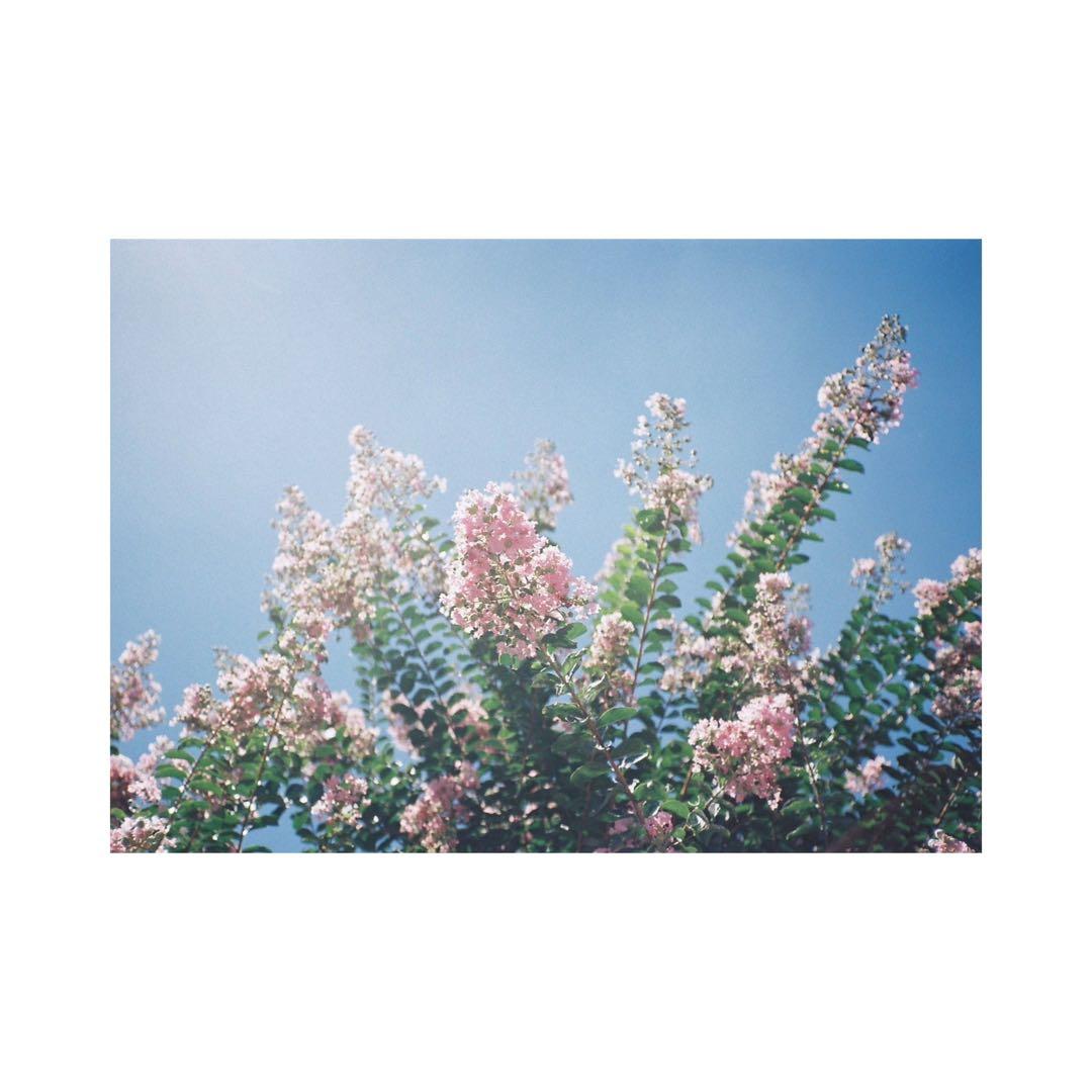 ⌘電池付、実写確認済！ OLYMPUS μ Stylus ZOOM 115⌘