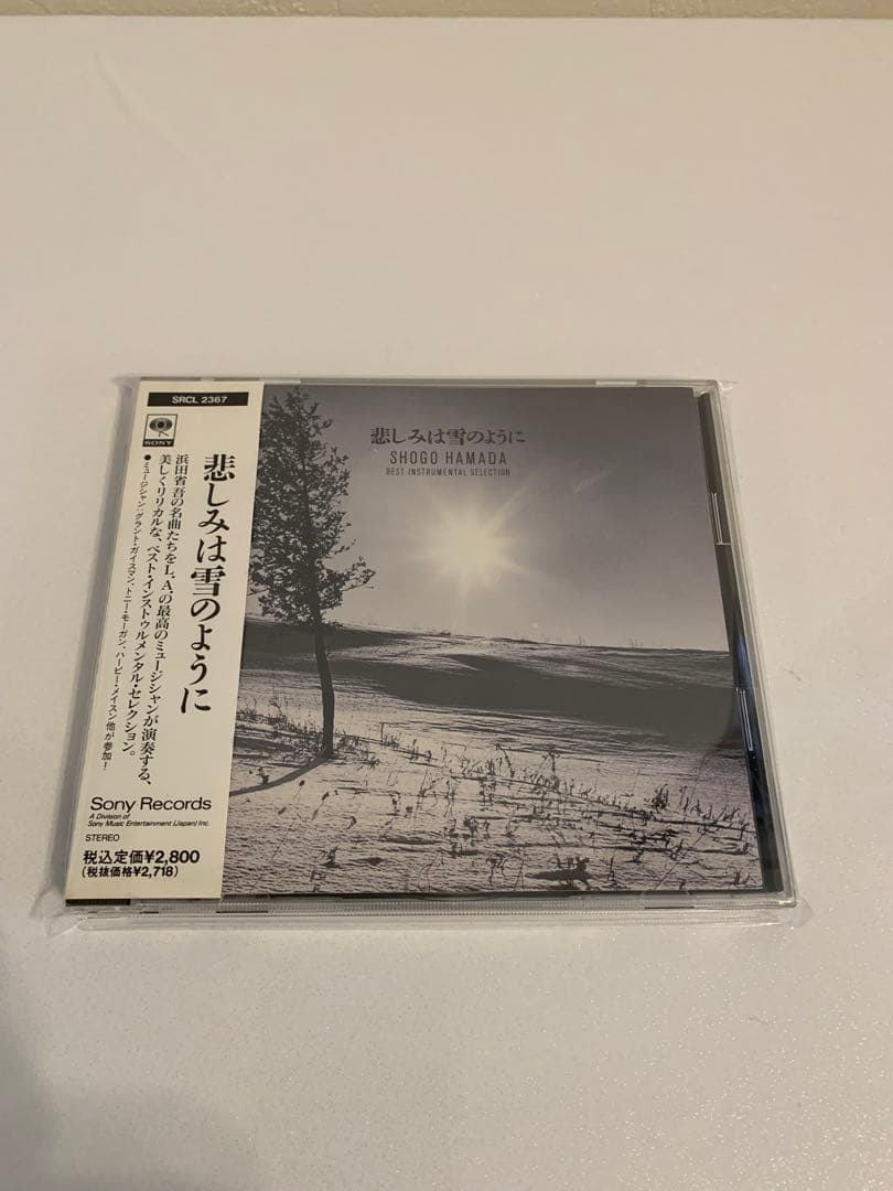 浜田省吾 CD アルバム26枚+シングル8枚セット❗️