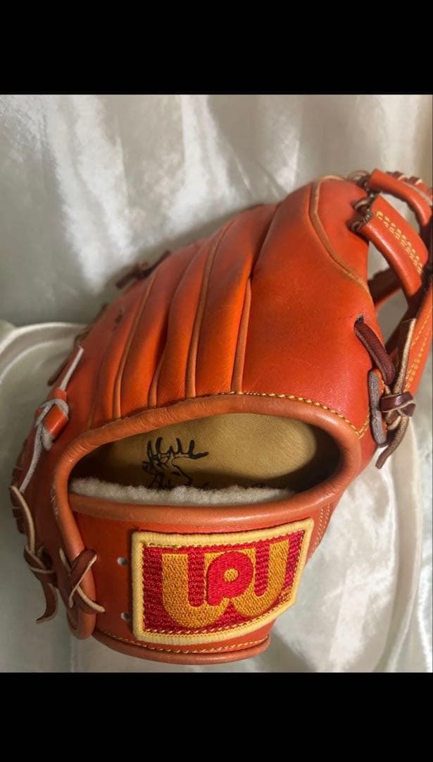 ワールドペガサス グローブ