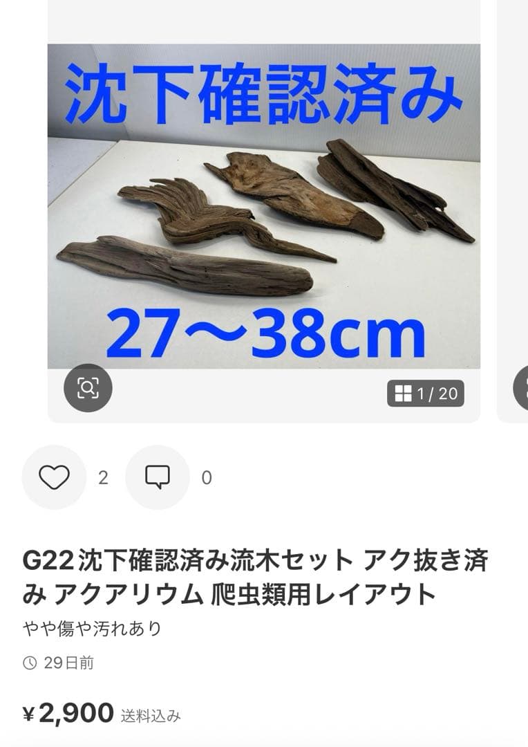 t55アク抜き済み流木セット 爬虫類シェルター 登り木 インテリア エアプランツ