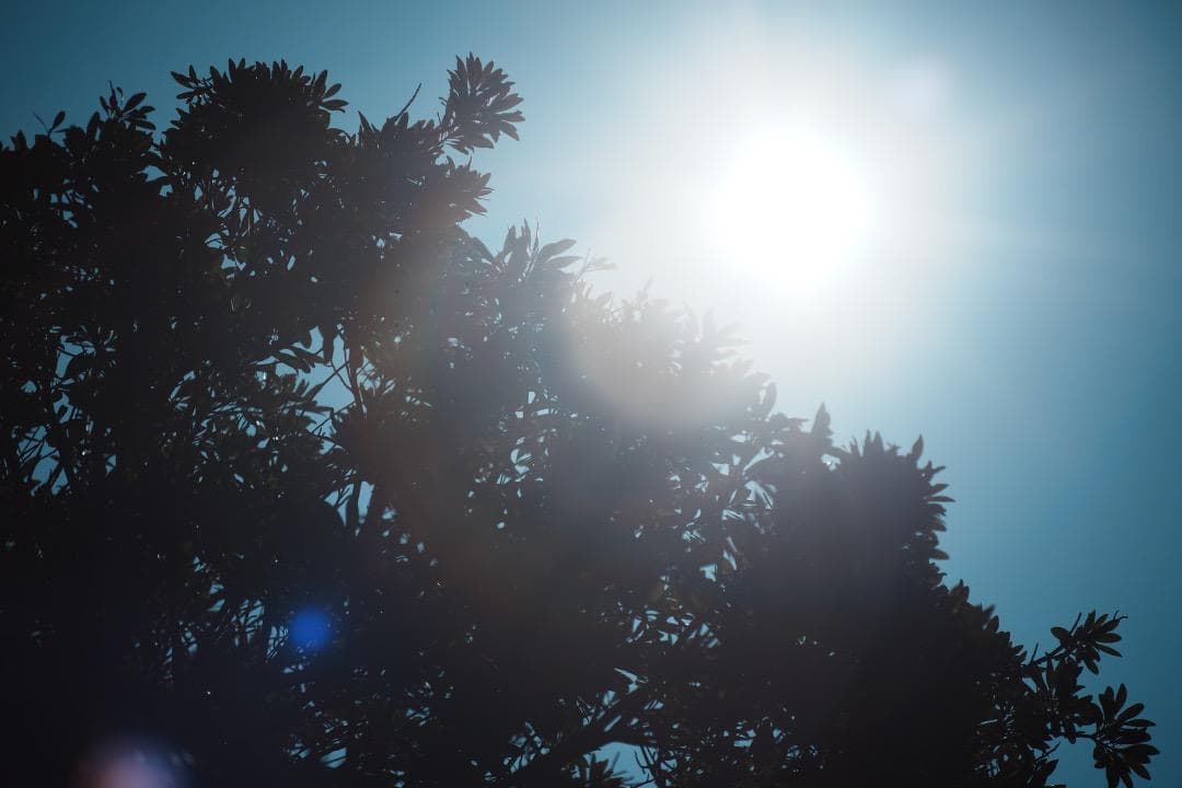 整備＆テスト ミノルタ MC TELE ROKKOR 100mm F2.5 41