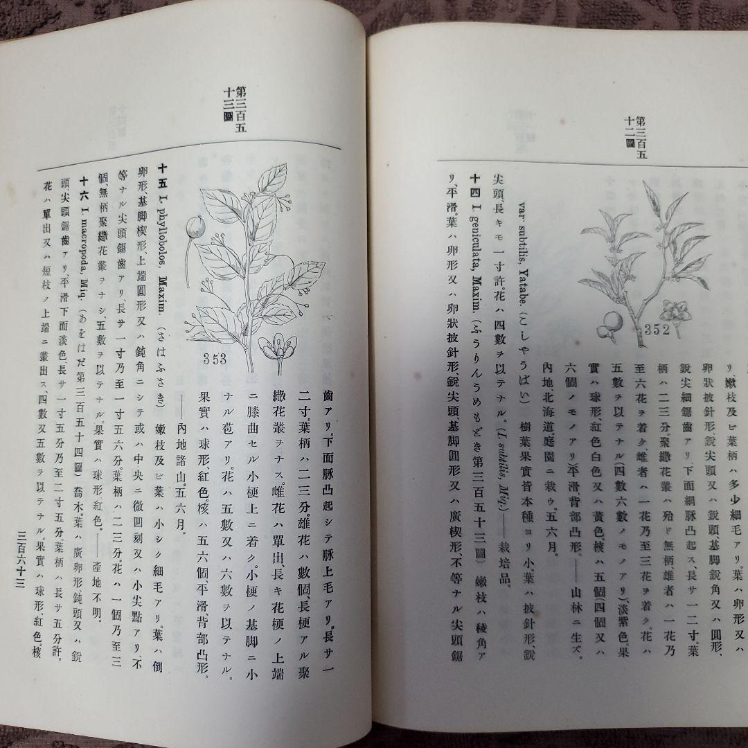 古書　希少本　日本植物編　矢田部良吉著
