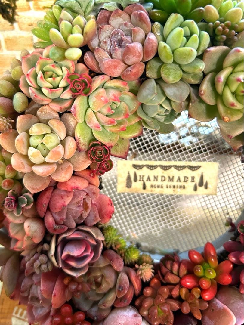 ❤️ Xmas SALE❤️多肉植物そのまま飾れる❤️多肉グラデーションリース❤️