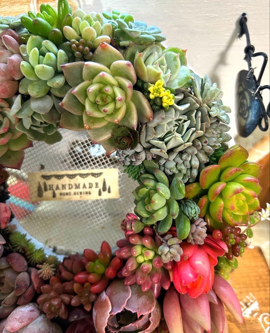 ❤️ Xmas SALE❤️多肉植物そのまま飾れる❤️多肉グラデーションリース❤️