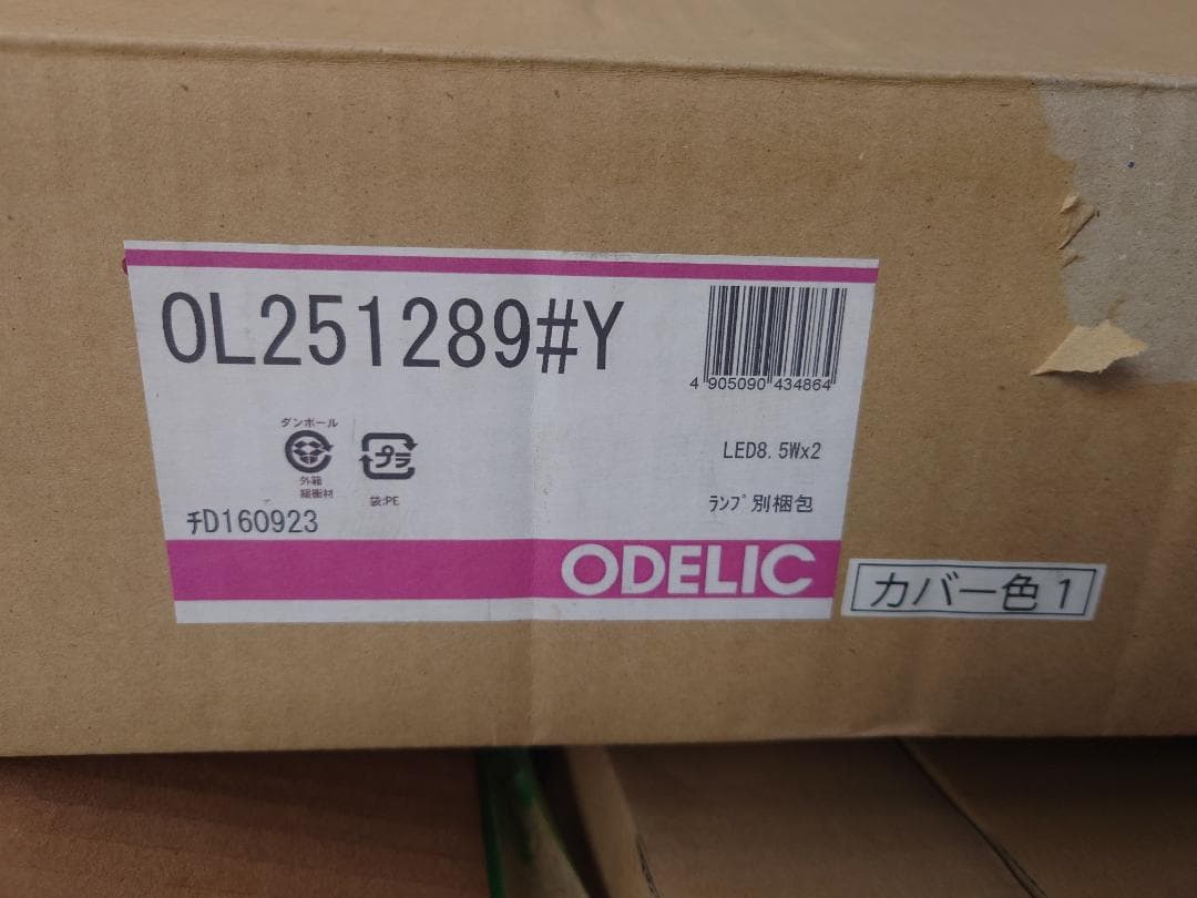Odelic OL251289#Y LEDキッチンライト