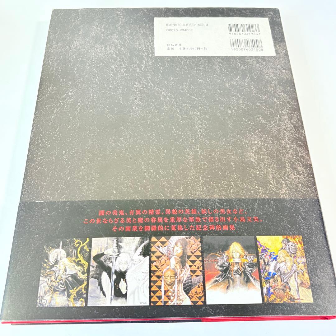 小島文美 画集 Santa Lilio Sangre 緋いユリ