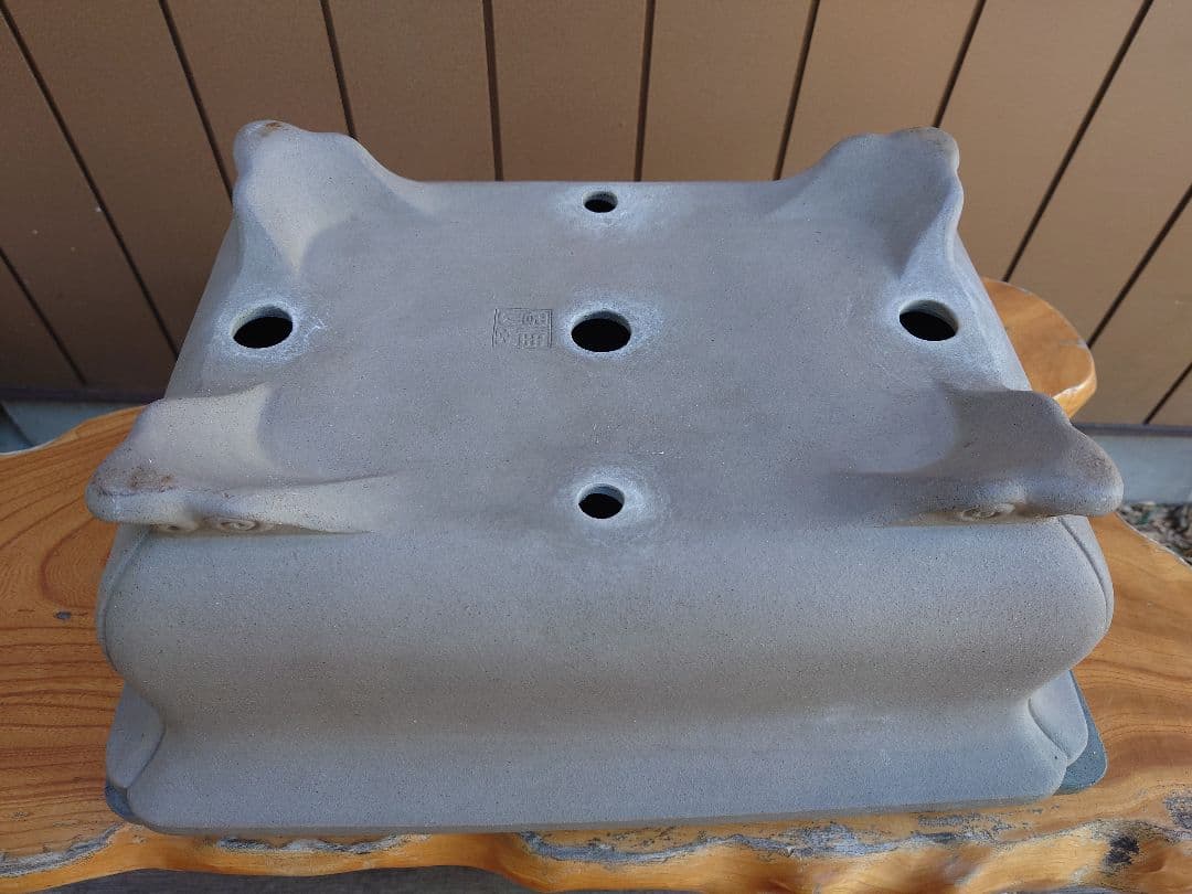 盆栽　鉢　佳山　幅48.5cm