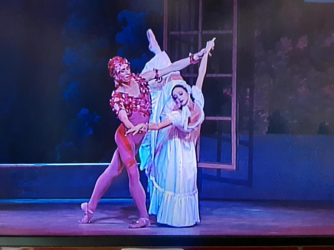 J083　DVD　ＤＶＤ　バレエ　シェヘラザート・薔薇の精・タン人の踊り・火の鳥