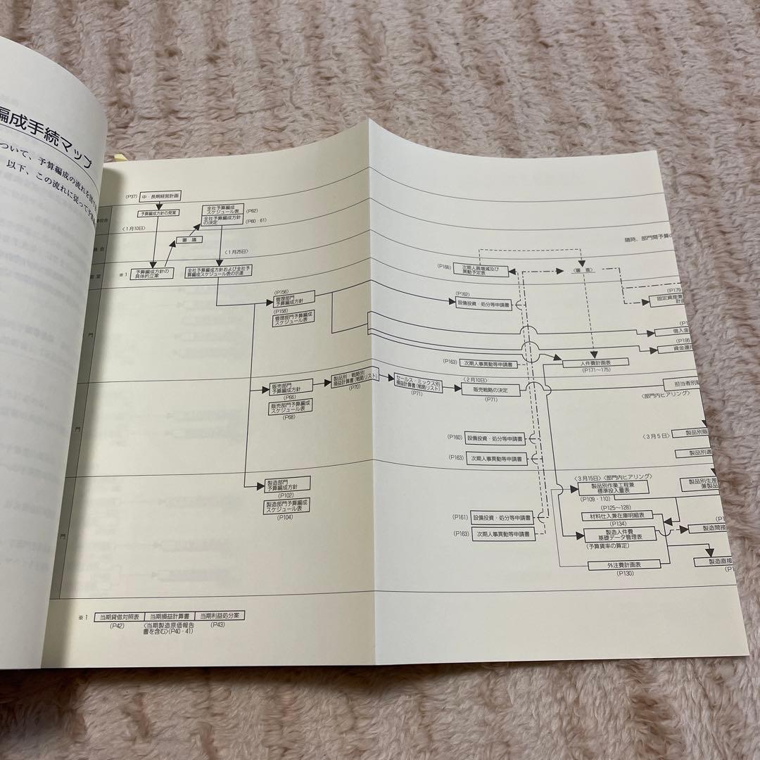 説例と図解でわかる企業予算編成マニュアル