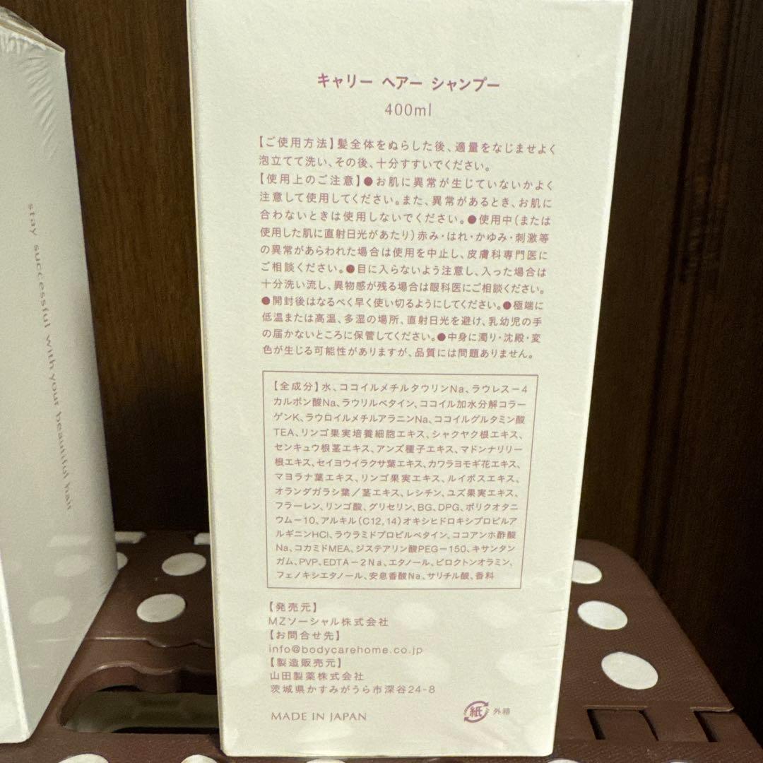 Carrie シャンプートリートメントholland village 河村真木子