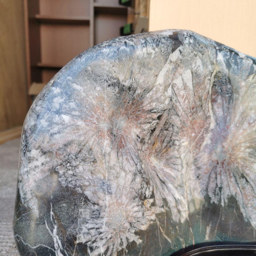 根尾谷産　菊花石　11.2キロ　鑑賞石　石　置物　オブジェ　インテリア　盆石