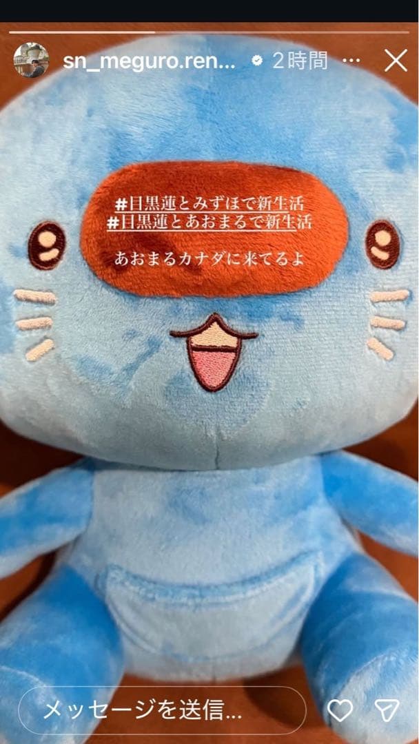 あおまる　ぬいぐるみ　目黒蓮　新品