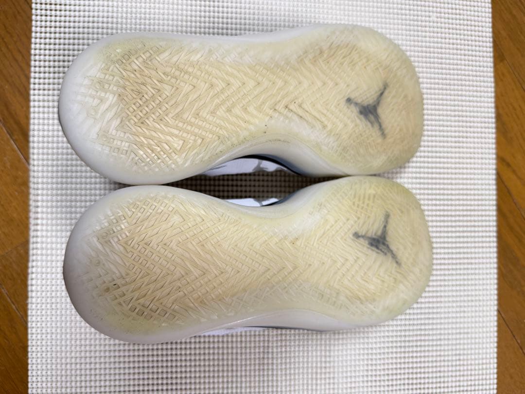 Jordan39 ジョーダン39 29cm