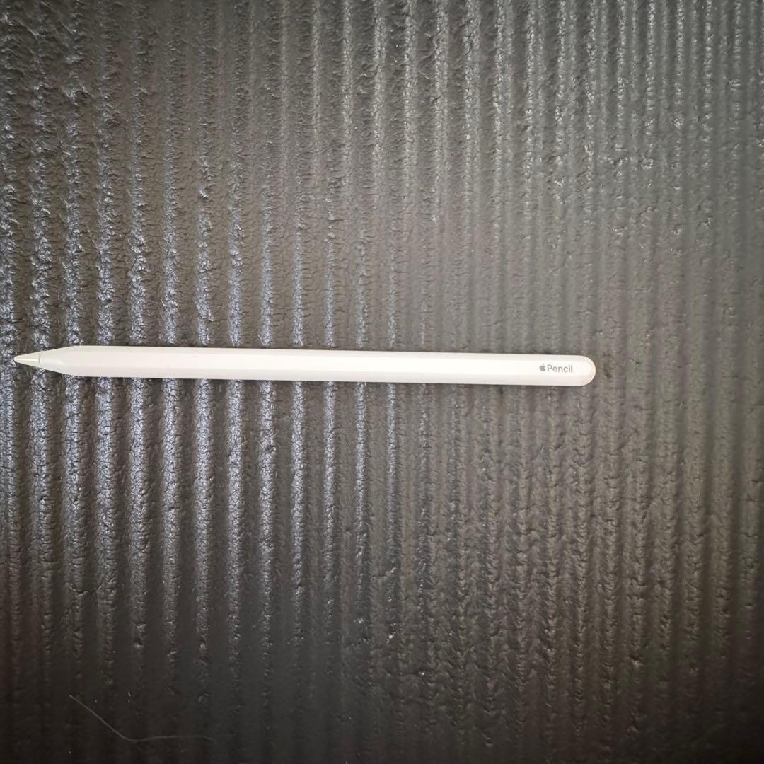 iPad Pro 第2世代 （Apple Pencil 第2世代付き）