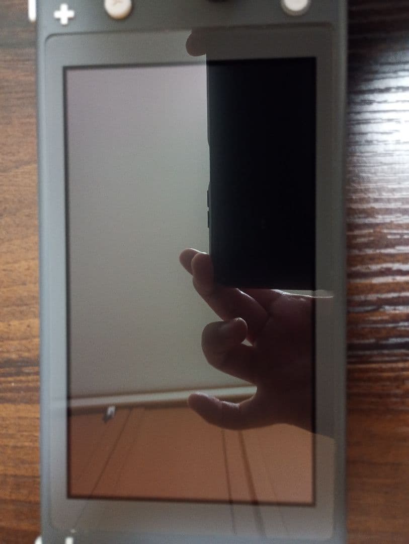 Nintendo Switch Lite グレー 本体 訳あり品