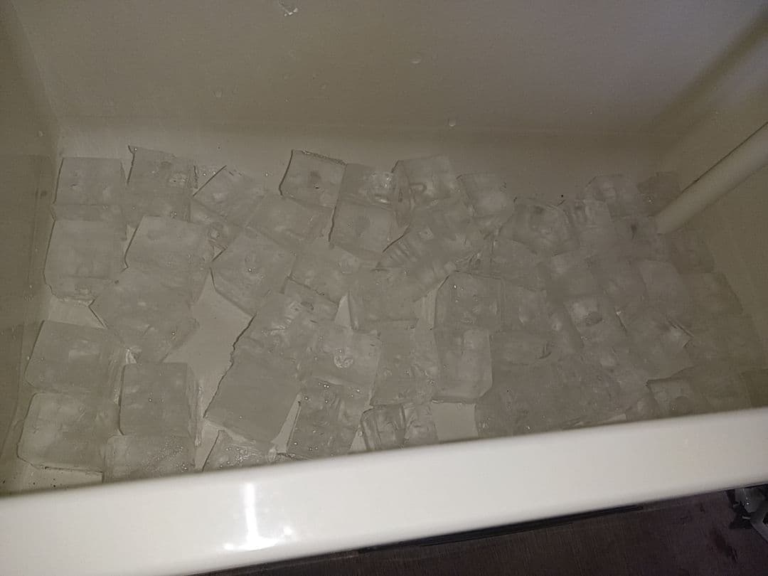 ホシザキ　卓上製氷機　IM-15CL