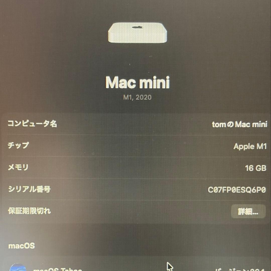 【美品】Apple M1 Mac mini 極上カスタム　16GB 1TB