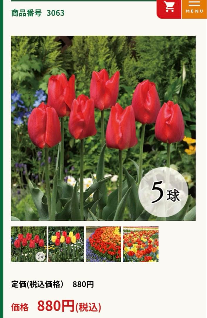 ♡⭐︎美晴⭐︎♡