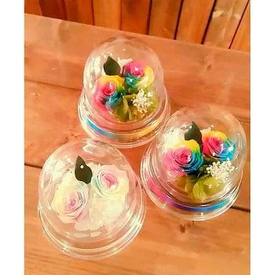 【高級プリザーブドフラワー】パステル☆ レインボーローズプチドーム