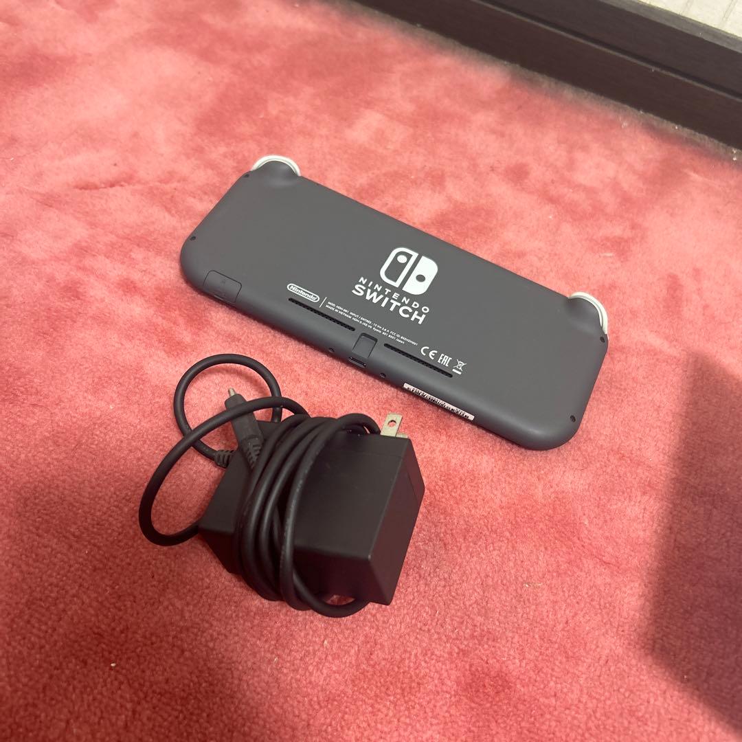 Nintendo Switch Lite グレー 充電器付き　ソフトつき