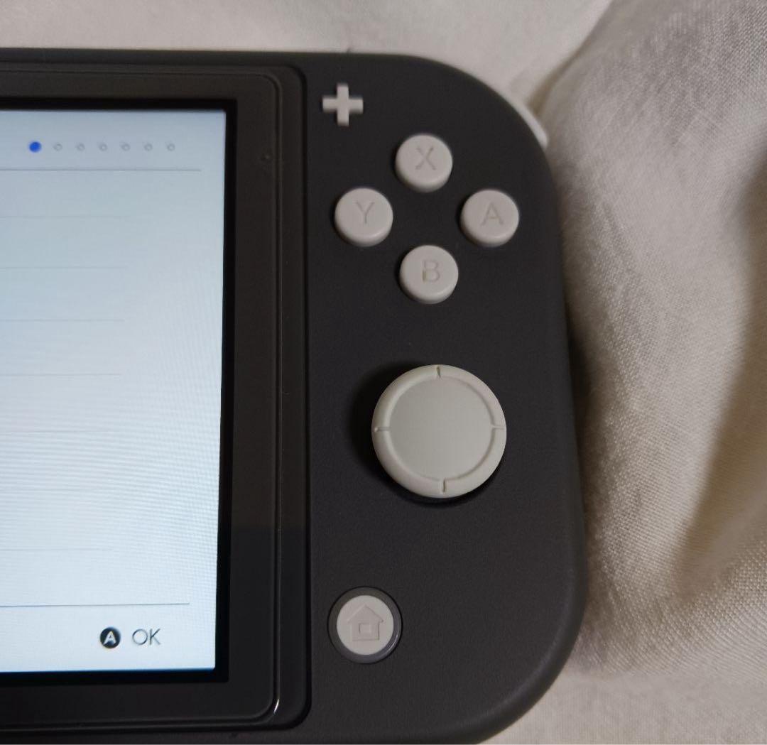 Nintendo Switch Lite 届いてすぐ遊べちゃう❗️