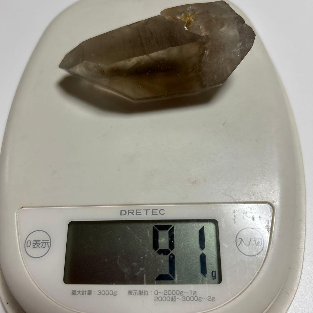 ロシアンレムリアン　スモーキー