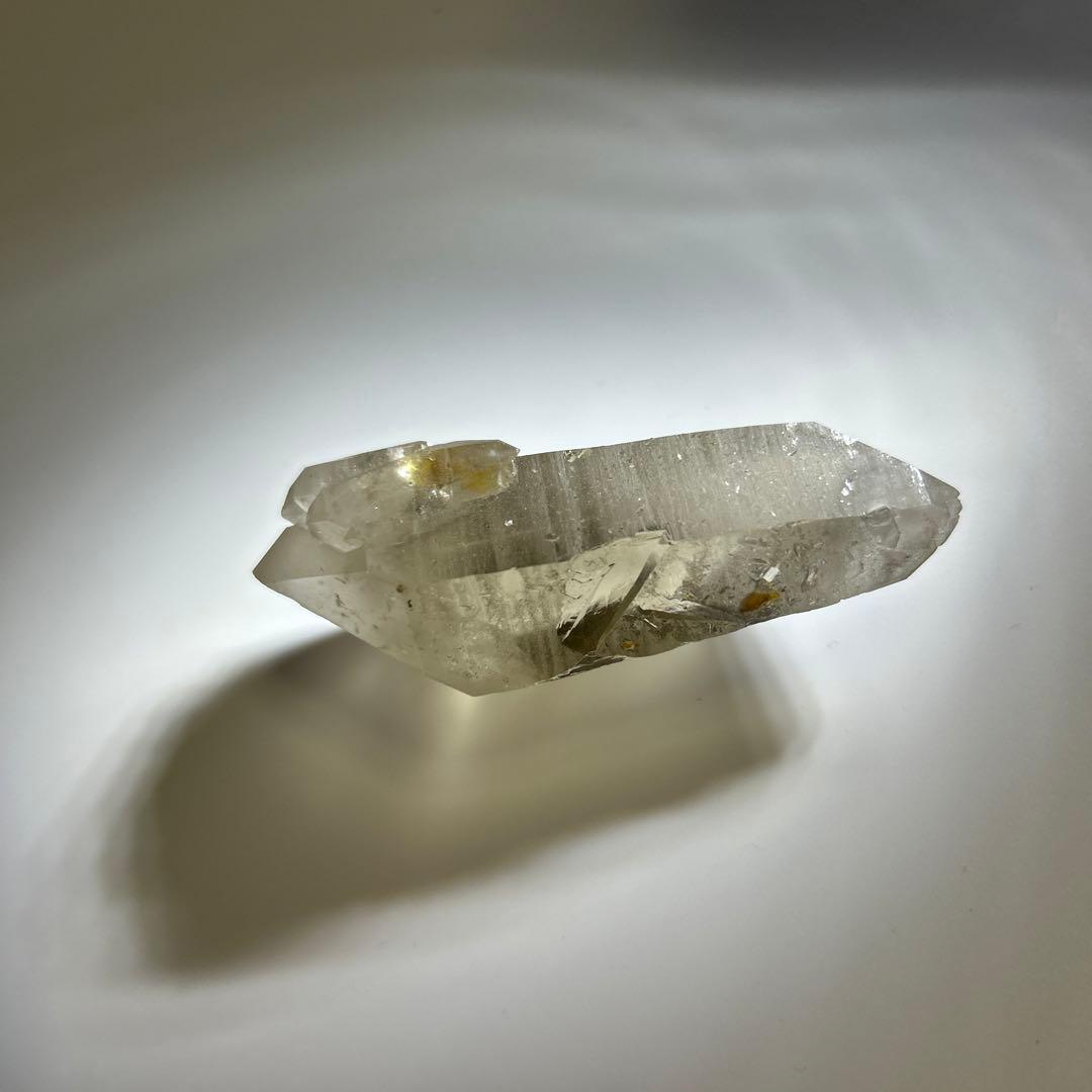 ロシアンレムリアン　スモーキー