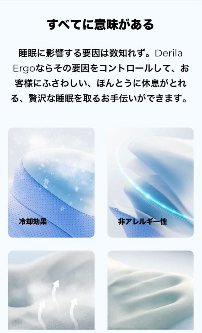 Facebookで見つけた枕　Derila 枕　アンナ Derila Ergo