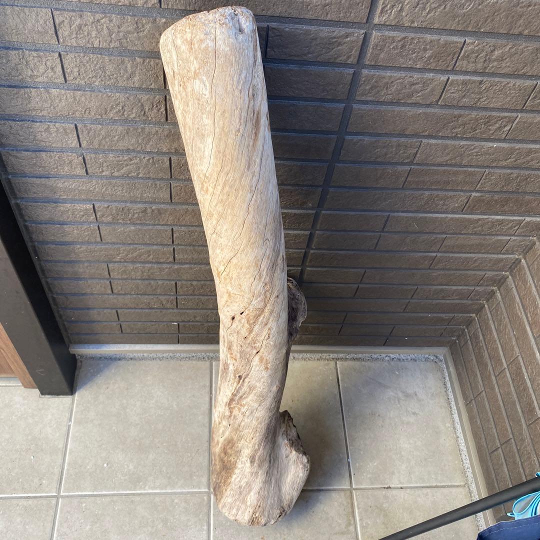 【希少大型流木】　☆おまとめ買い値引き実施中です☆