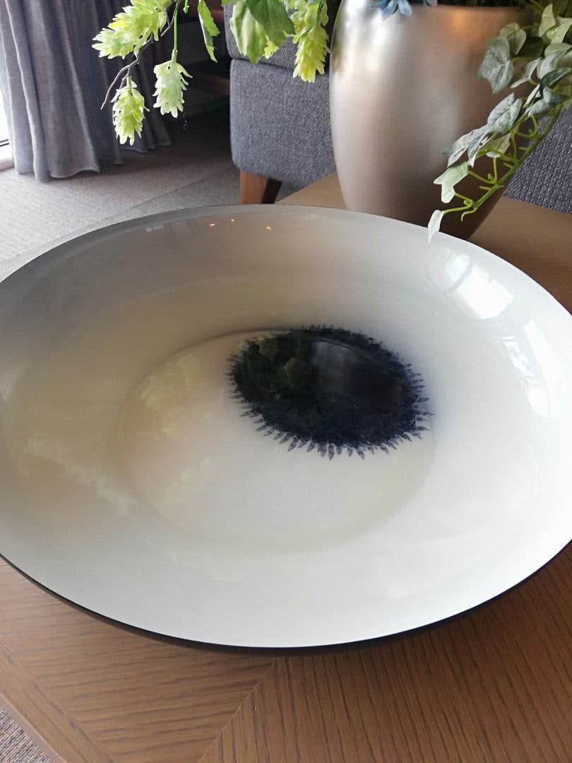 【貴重】ボーコンセプト BoConcept　 大皿 オブジェ　松ぼっくり３つ付き