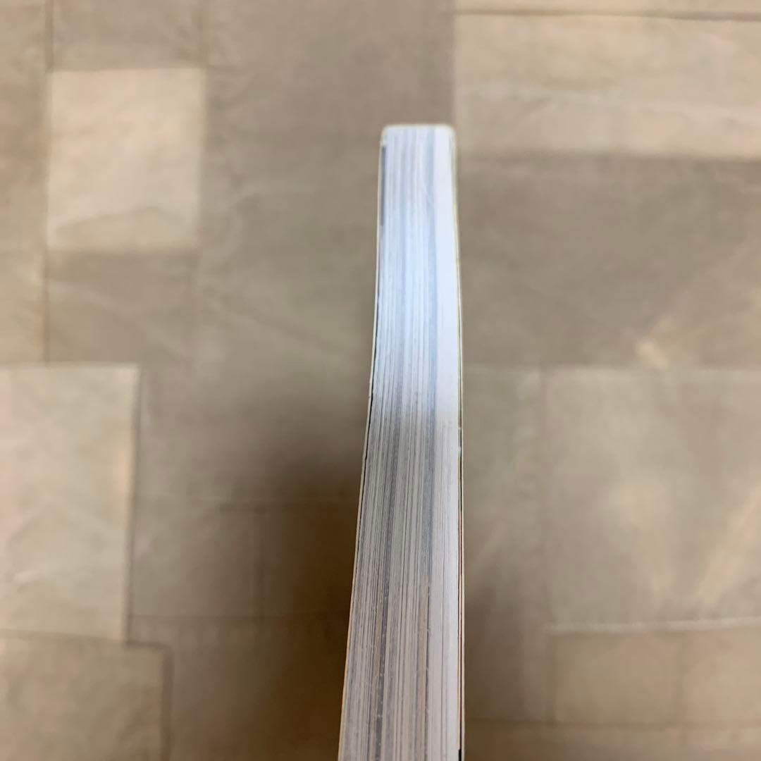 THE GALAXY OF STRATS (リットーミュージック・ムック)