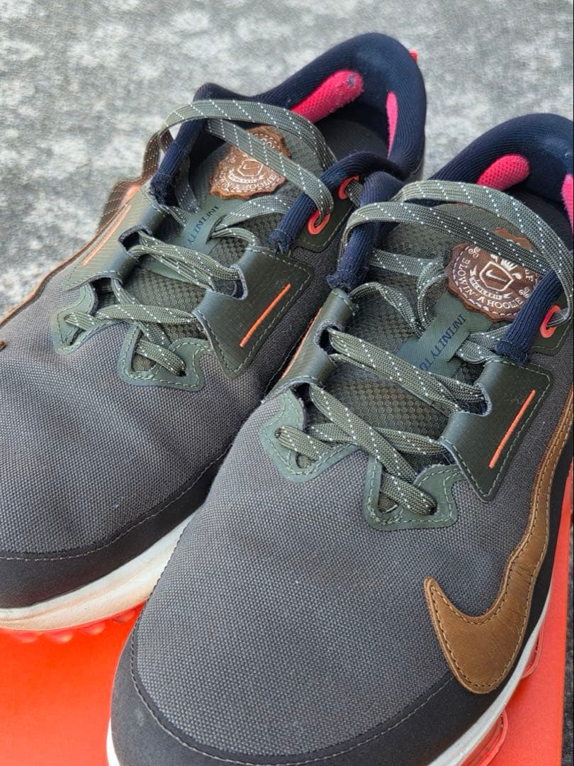 NIKE エアズームインフィニティツアー 2 NRG