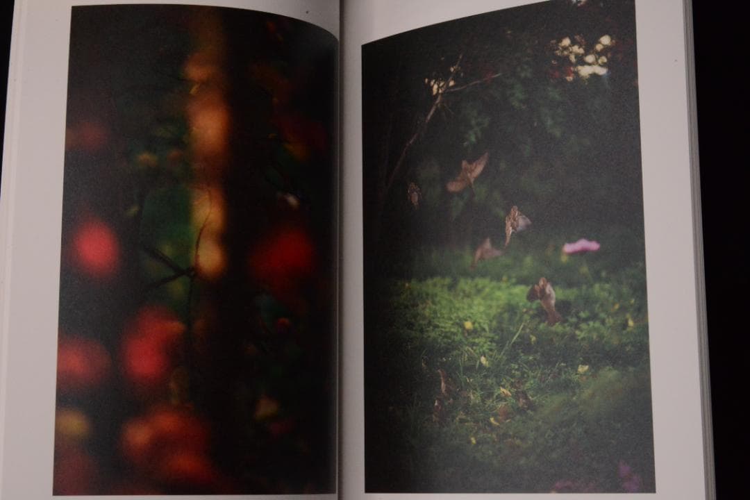 As the Crow Flies:Terri Weifenbac★値下げました