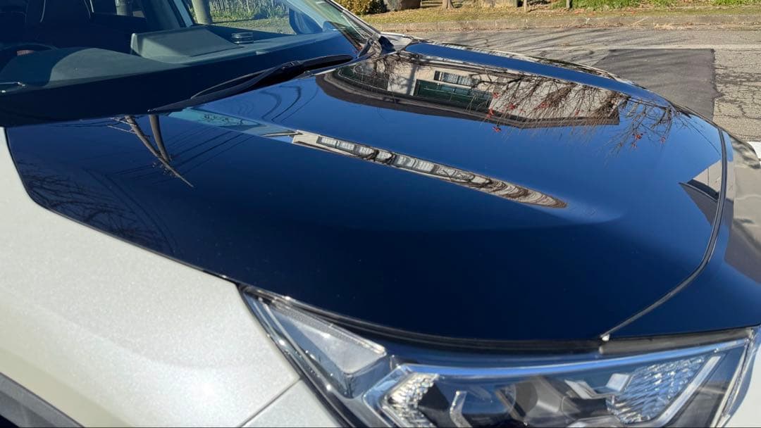 RAV4 純正 ボンネット/エンジンフード アティチュードブラックマイカ 218