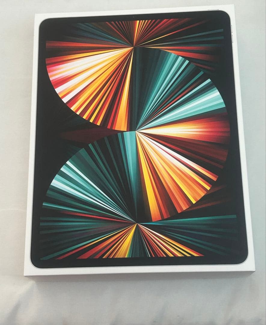 【giugiu】iPad Pro12.9inch Wi-Fi256GB