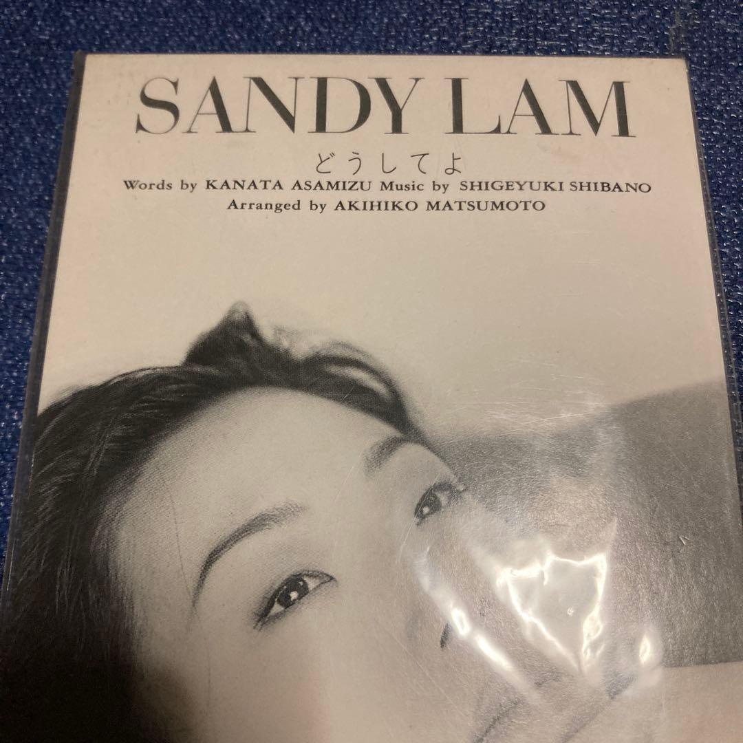 サンディラム .どうしてよ 8cm8センチシングル 林憶蓮 Sandy Lam