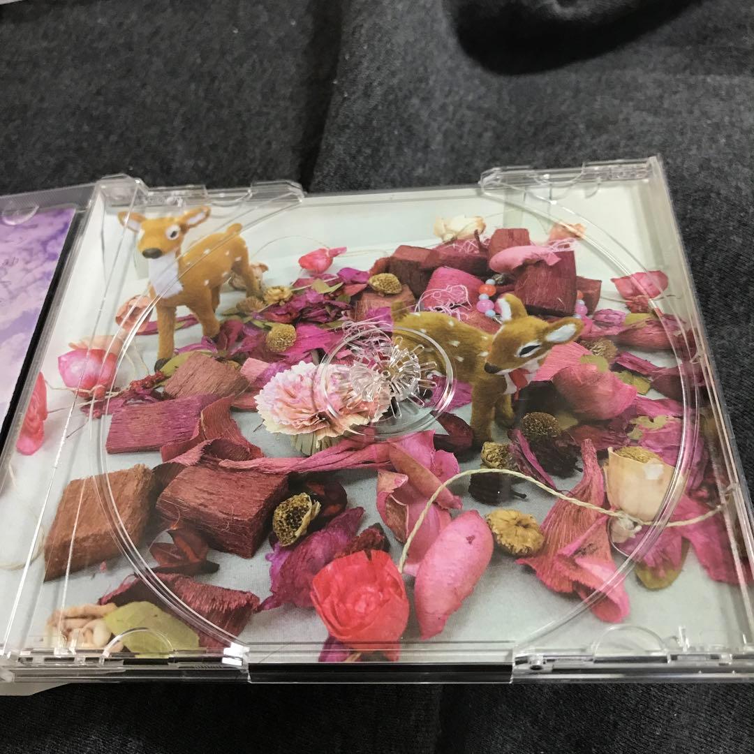 コレサワ / 是澤寿美