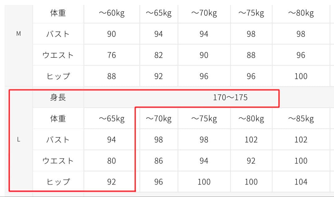 【年内最終価格】HYOD レーシングスーツ D3O® Lサイズ　美品