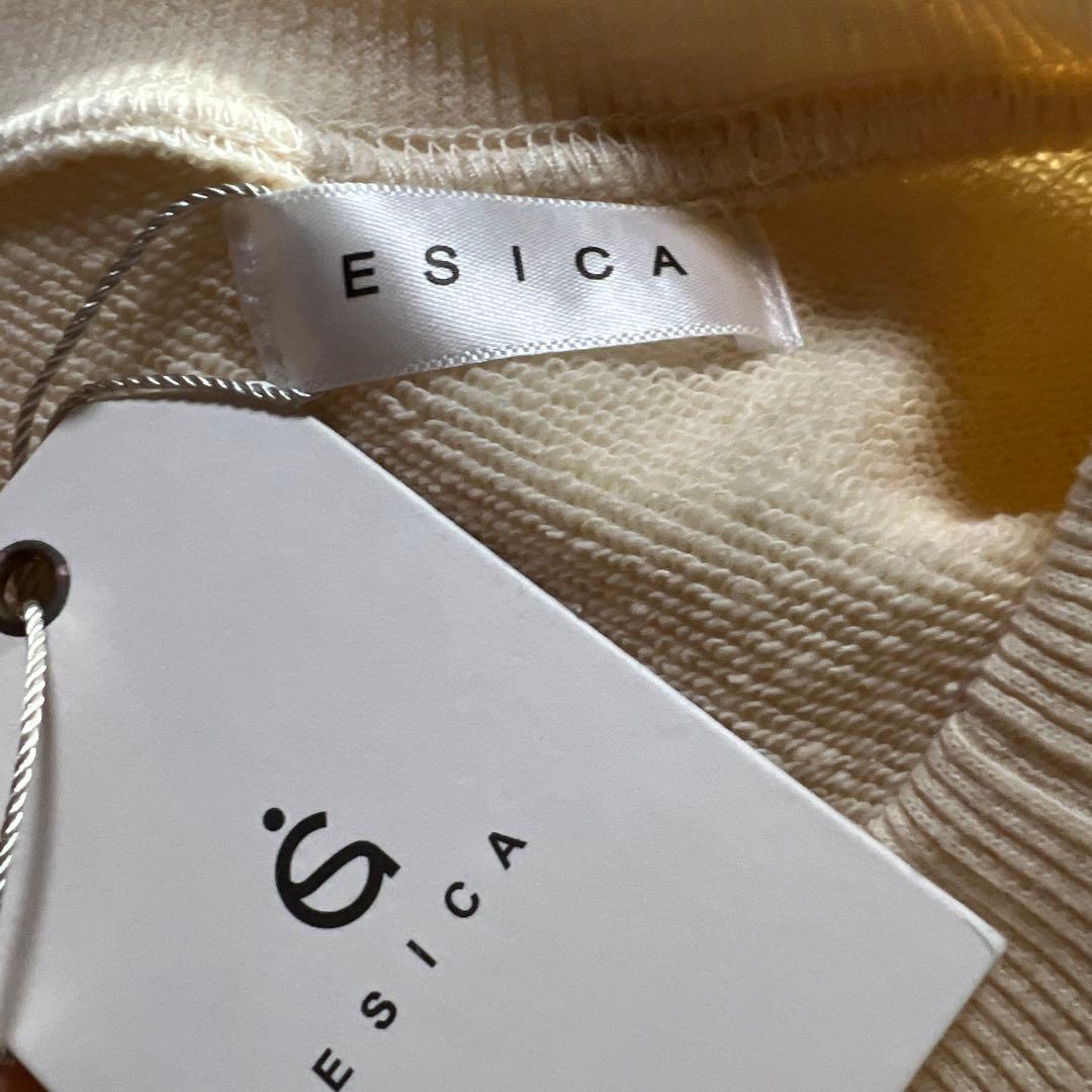 知音　新品タグ付き★ESICA あと3点
