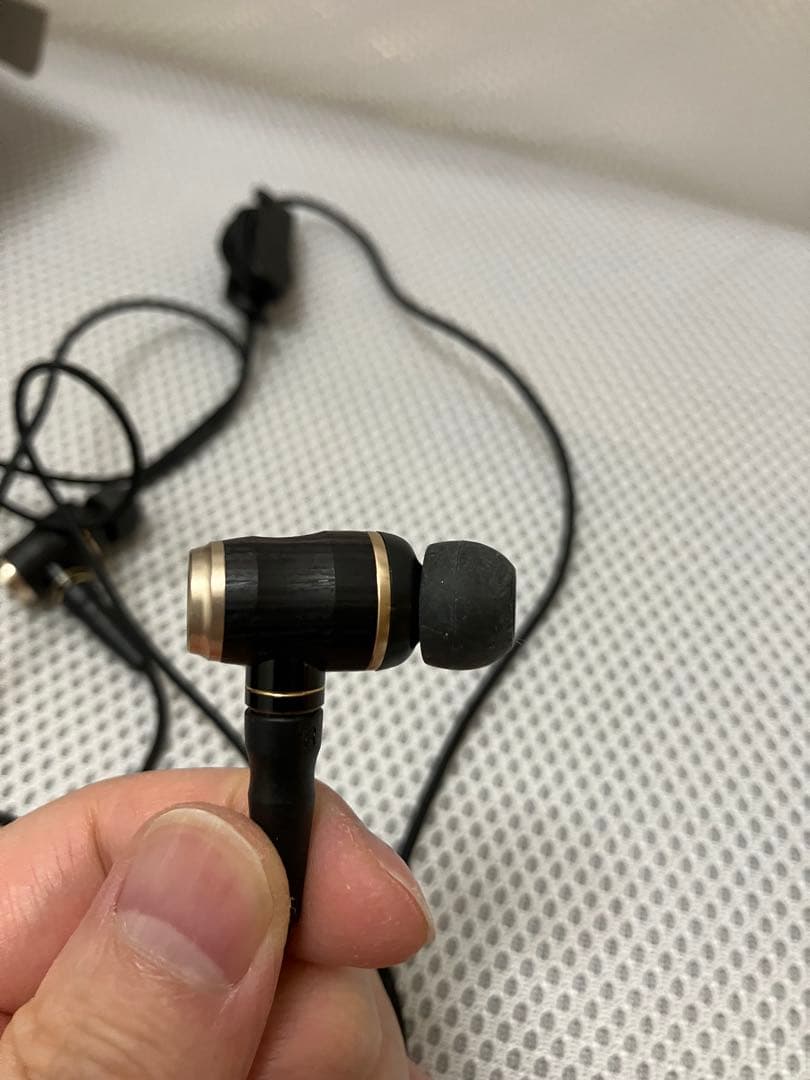 ほぼ未使用 JVC HA-FX1100 ウッドハウジング イヤフォン