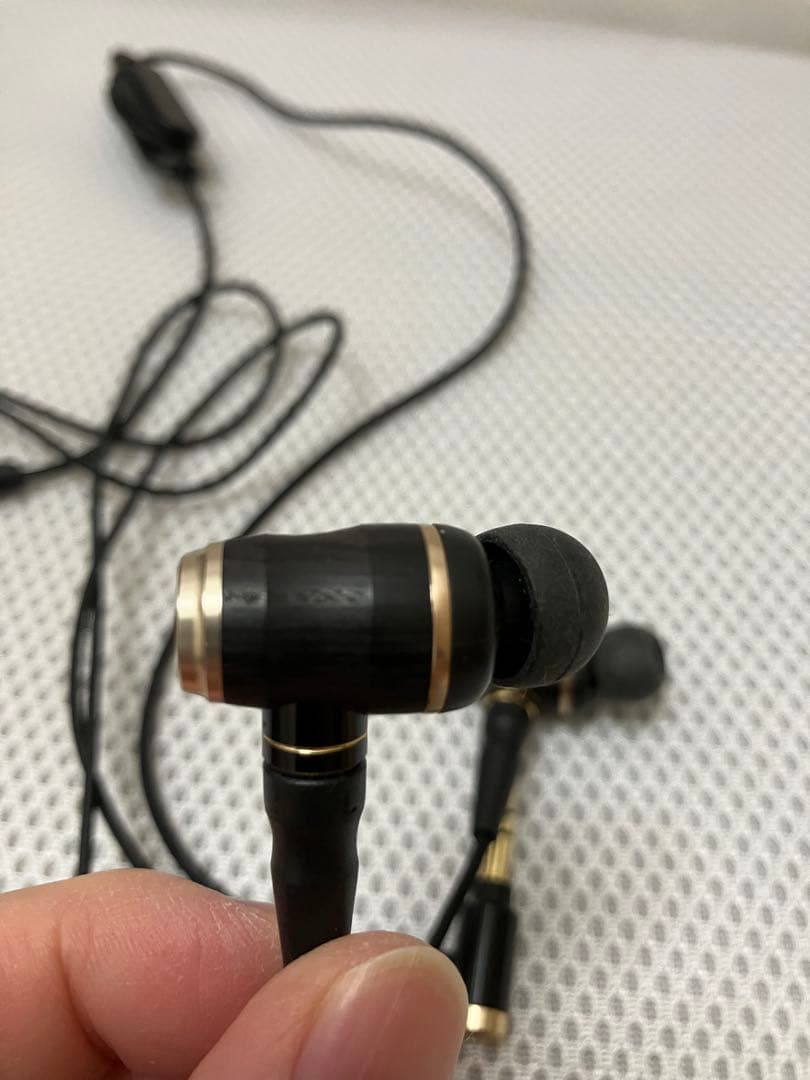 ほぼ未使用 JVC HA-FX1100 ウッドハウジング イヤフォン